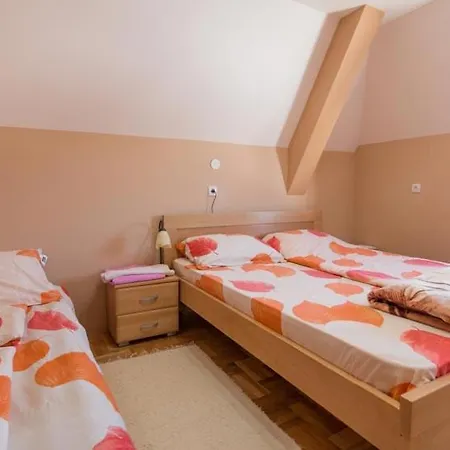 Apartman Zlatna Pahulja Bajina Basta